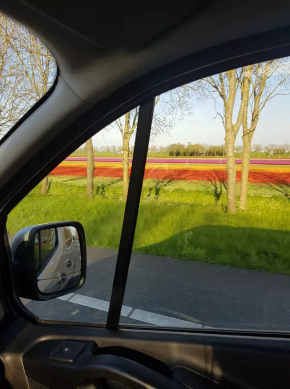 Klimatyzowany bus do Niemiec i Holandii – komfortowa podróż nawet w największe upały