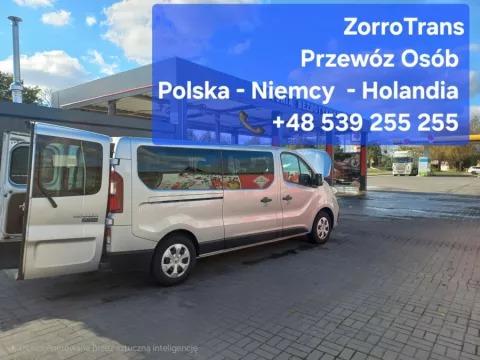 Dlaczego jesień w Holandii to dobry czas na pracę?